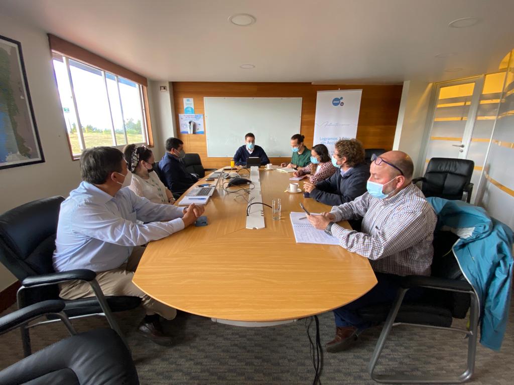 Essal presenta avance del Plan de Reparación del Daño Ambiental al lago Llanquihue