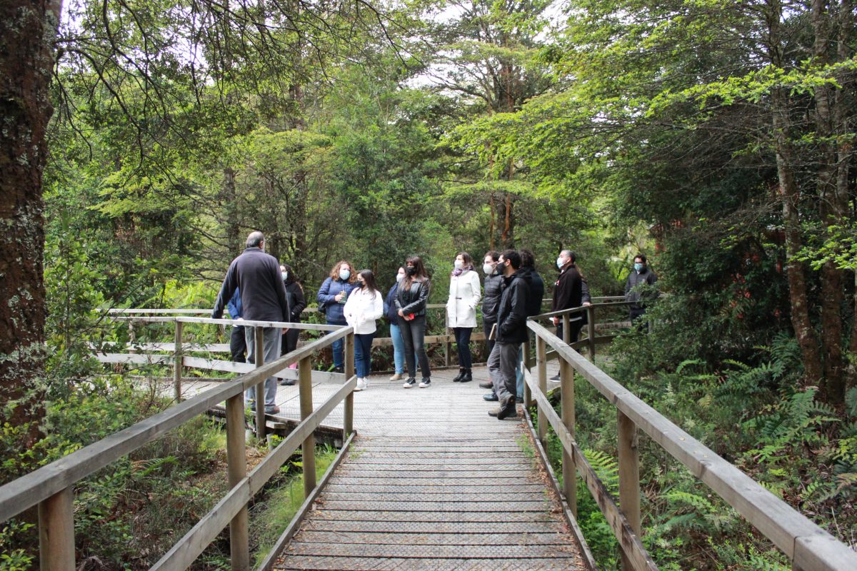 Proyecto busca acercar el bosque como experiencia sensorial