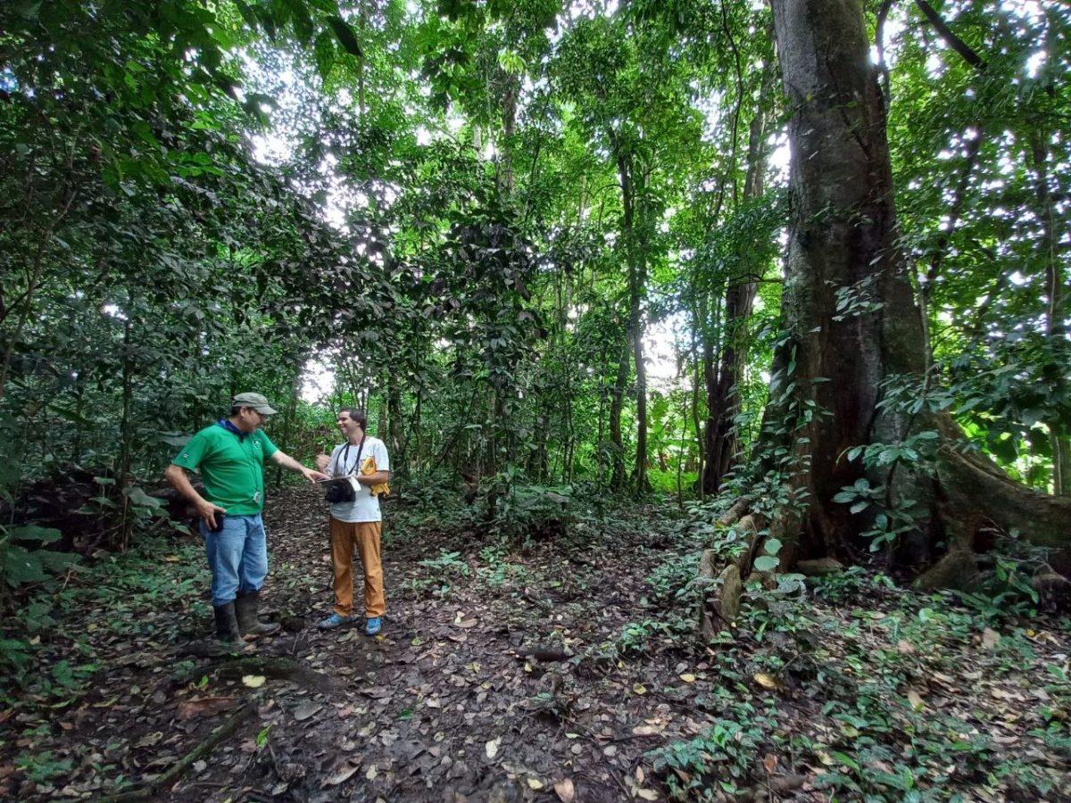 Organizaciones de Chile y Costa Rica trabajan en cooperación por carbono neutralidad