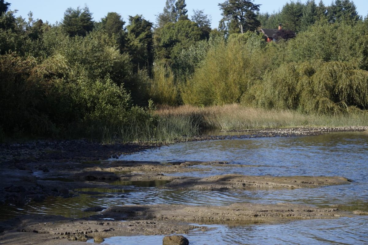 Privados buscan eliminar declaratoria de Humedal Urbano en La Marina de Puerto Varas