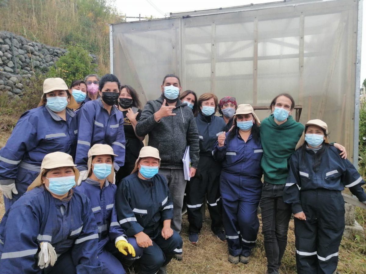 Mujeres de Puerto Varas aprenden técnicas de cultivo