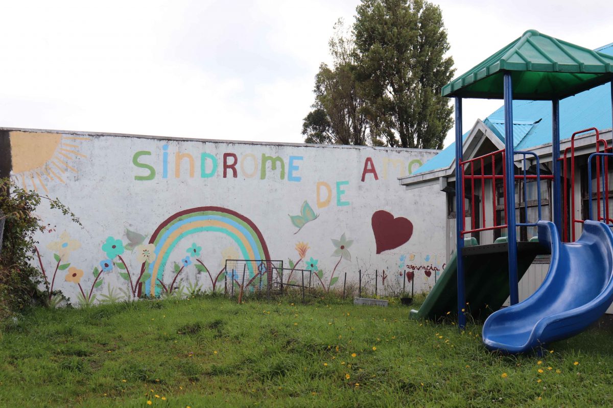 Fundación Síndrome de Amor conmemora Día Mundial del Síndrome de Down