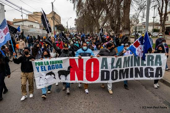 Dominga se va a fallo: Corte Suprema da por frustrada conciliación y detractores al proyecto esperan su rechazo definitivo