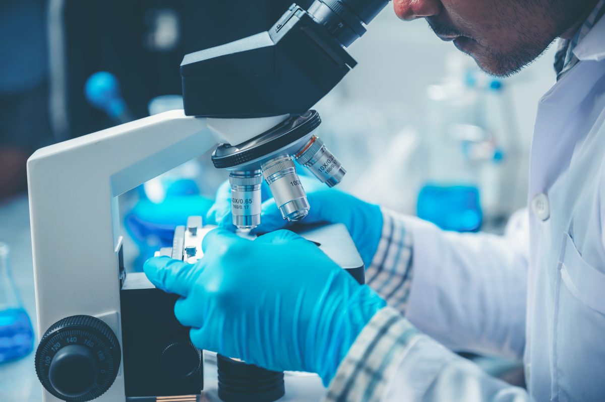 Investigación UFRO revela virus que puede propiciar la obesidad