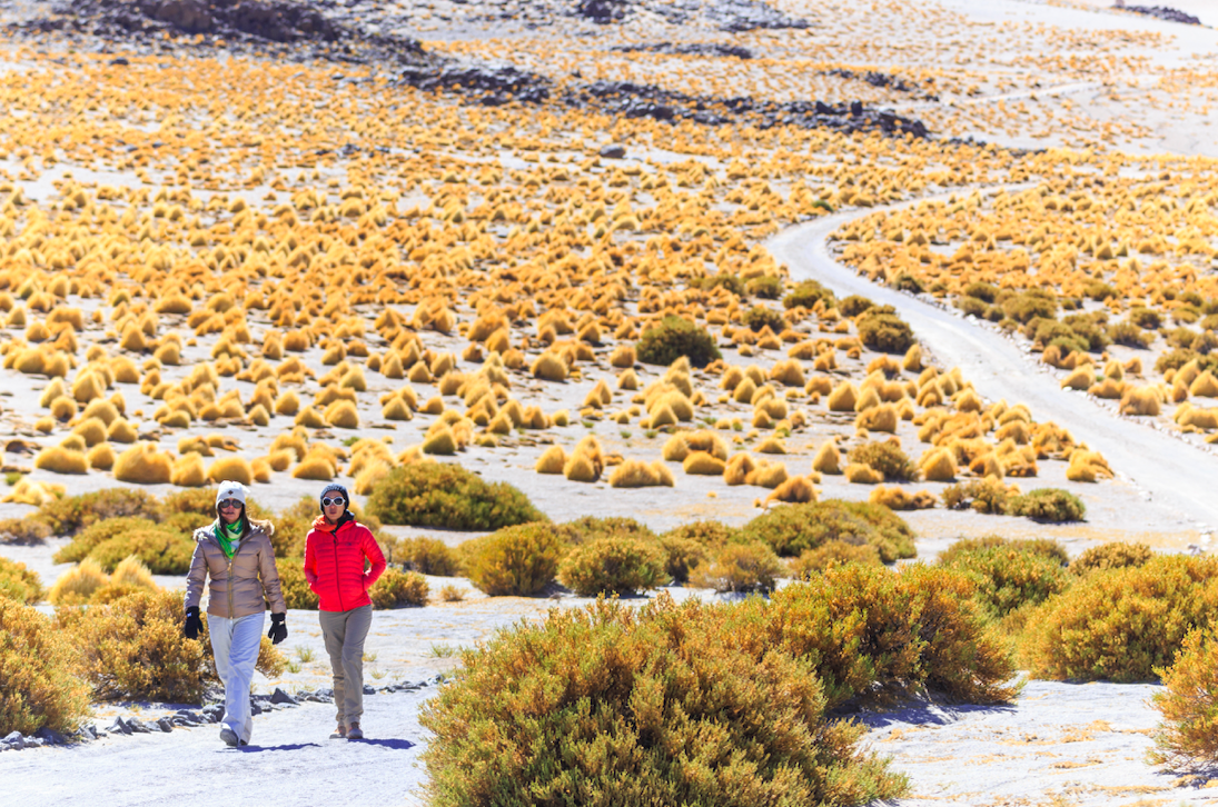 Colchagua y San Pedro de Atacama son los más visitados de Semana Santa