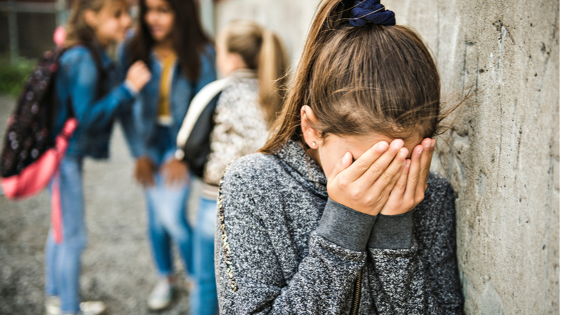 imagen de temucodiario.cl - Sopnia llama a trabajar los problemas de violencia en los colegios