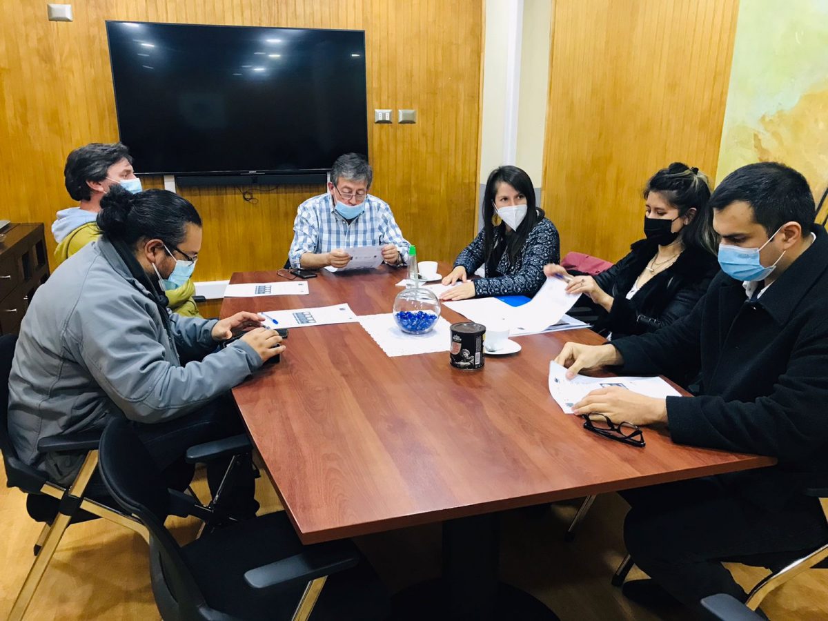 Presentan proyecto de electromovilidad en locomoción colectiva de Puerto Montt