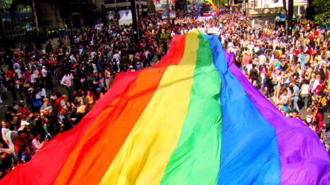 imagen de chile.as.com - Bajan casos de homo y transfobia en Los Lagos pero son más violentos
