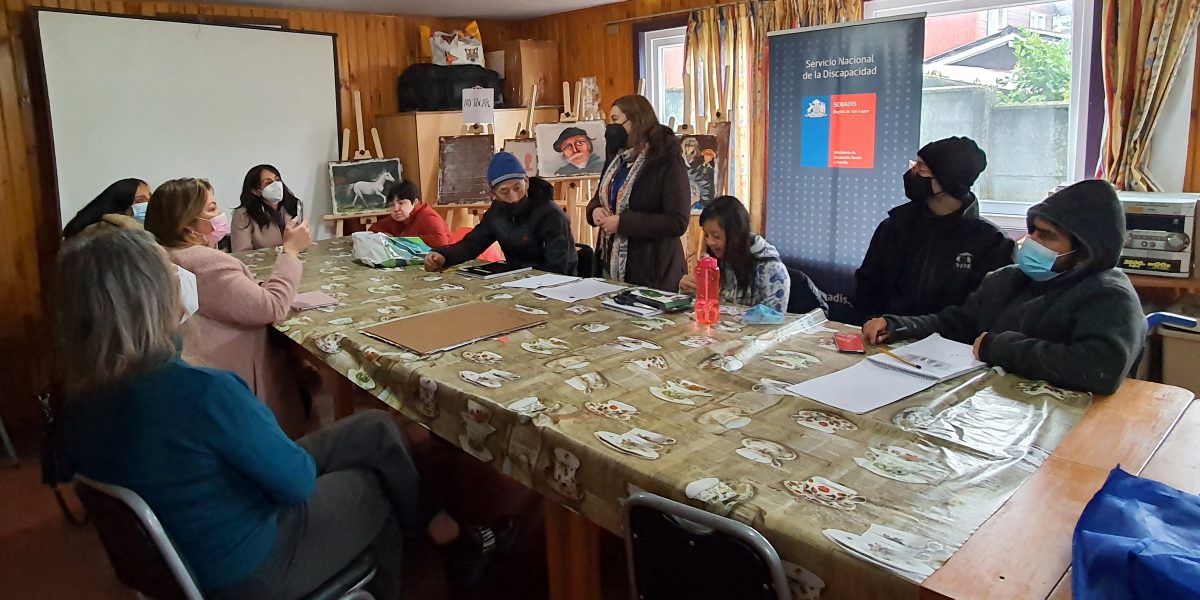 Senadis abre fondo para proyectos de inclusión de personas con discapacidad