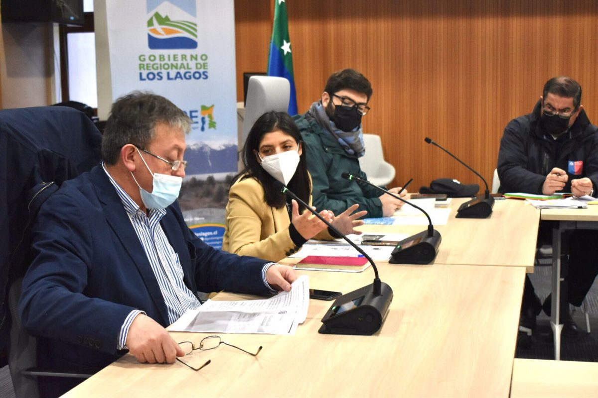Autoridades evalúan alternativas ante remociones en masa en Ladera Pelluco
