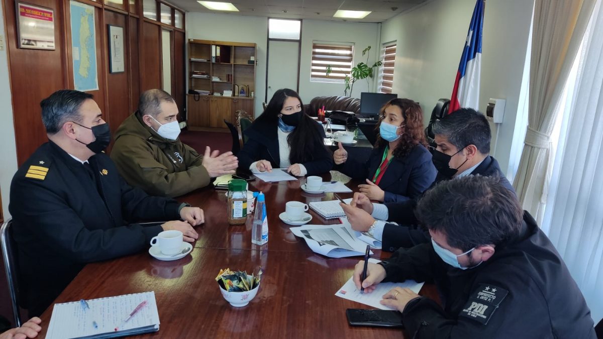 Delegación Presidencial de Chiloé conforma mesa de trabajo para control de armas