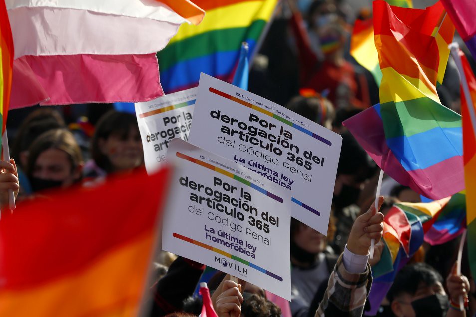 Comisión Interamericana de Derechos Humanos acoge demanda del Movilh contra el Estado