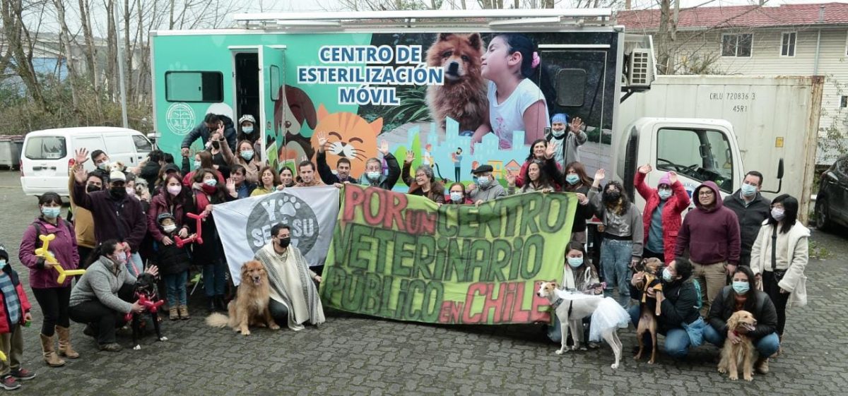 Puerto Montt proyecta nuevo Centro de Esterilización Canina