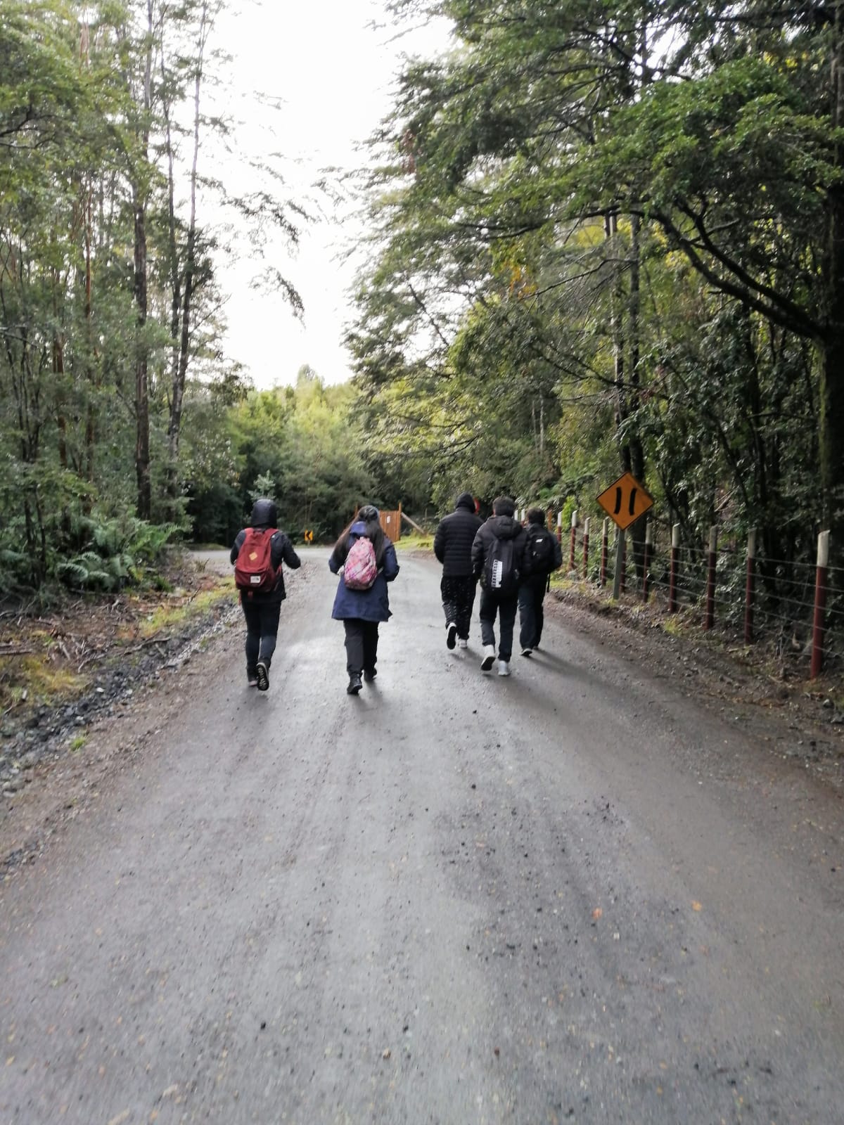 Alumnos del Liceo de Hombres de Puerto Montt visitan Parque Alerce Andino