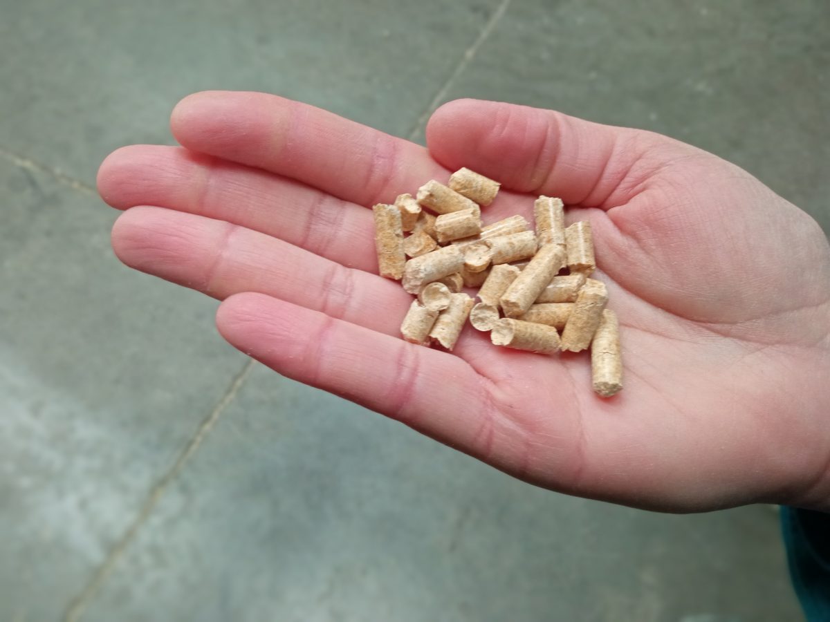 Afirman que abastecimiento de pellet se normalizará en las próximas semanas