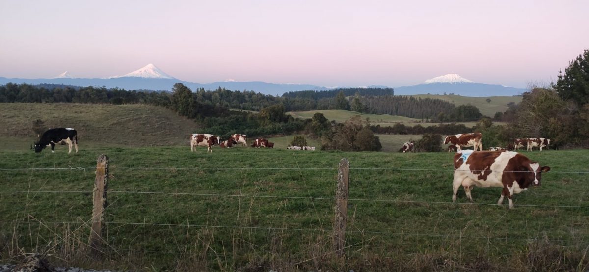 Economistas postulan que la Agricultura Familiar Campesina es clave para superar la crisis global