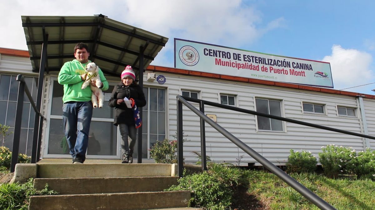 Animalistas celebran 10 años de Centro de Esterilización Canina Puerto Montt