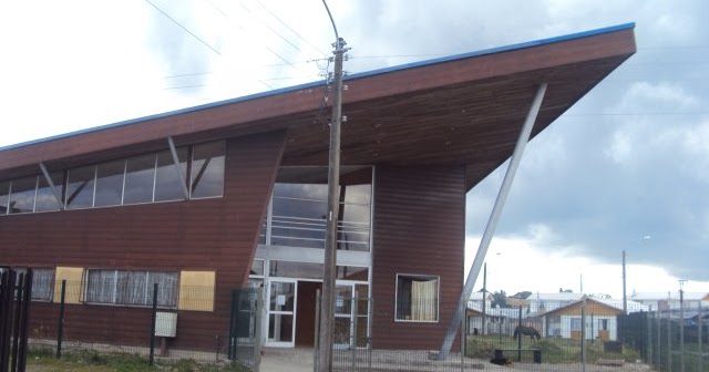 Kinesiología beneficia a adultos mayores de Alerce