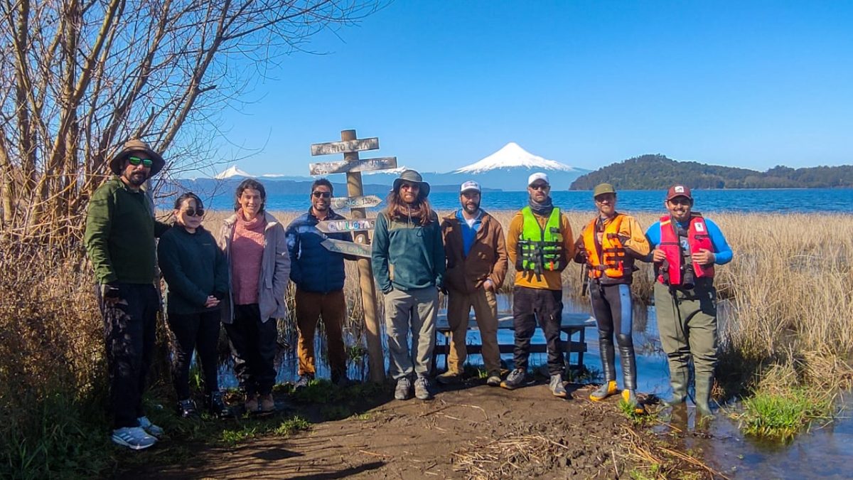Ambientalistas se reúnen en torno a humedales de Puerto Octay