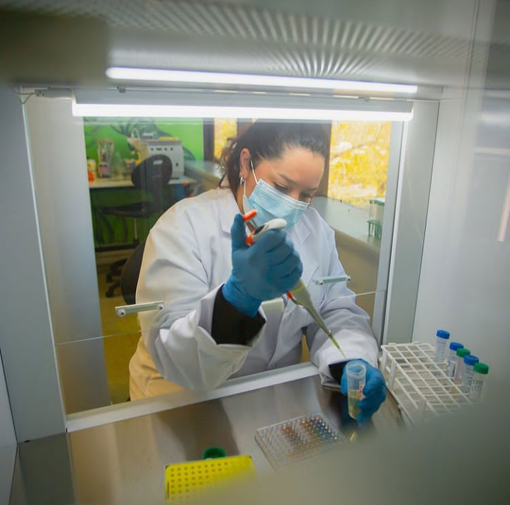 Llaman a mujeres de ciencia y tecnología a postular a InspiraTEC
