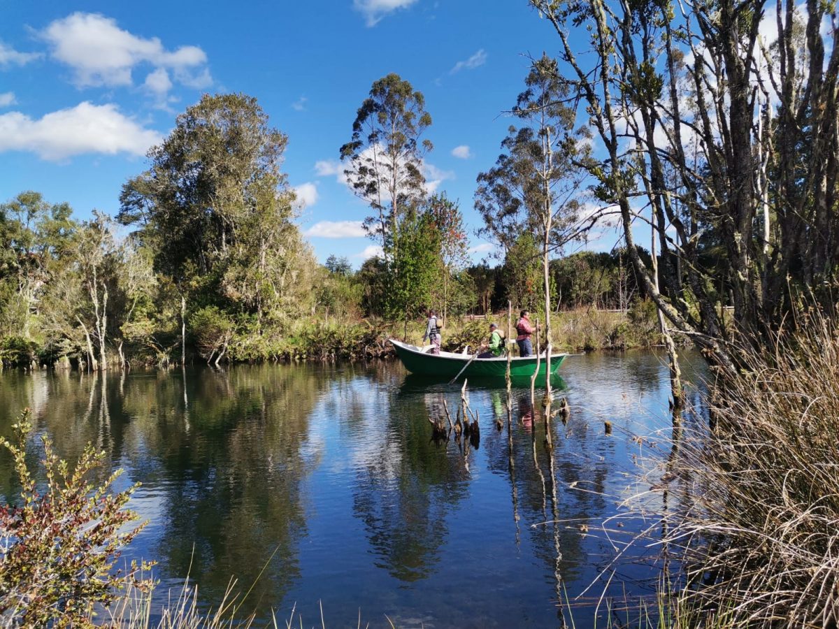 Llaman a practicar pesca recreativa de manera sustentable