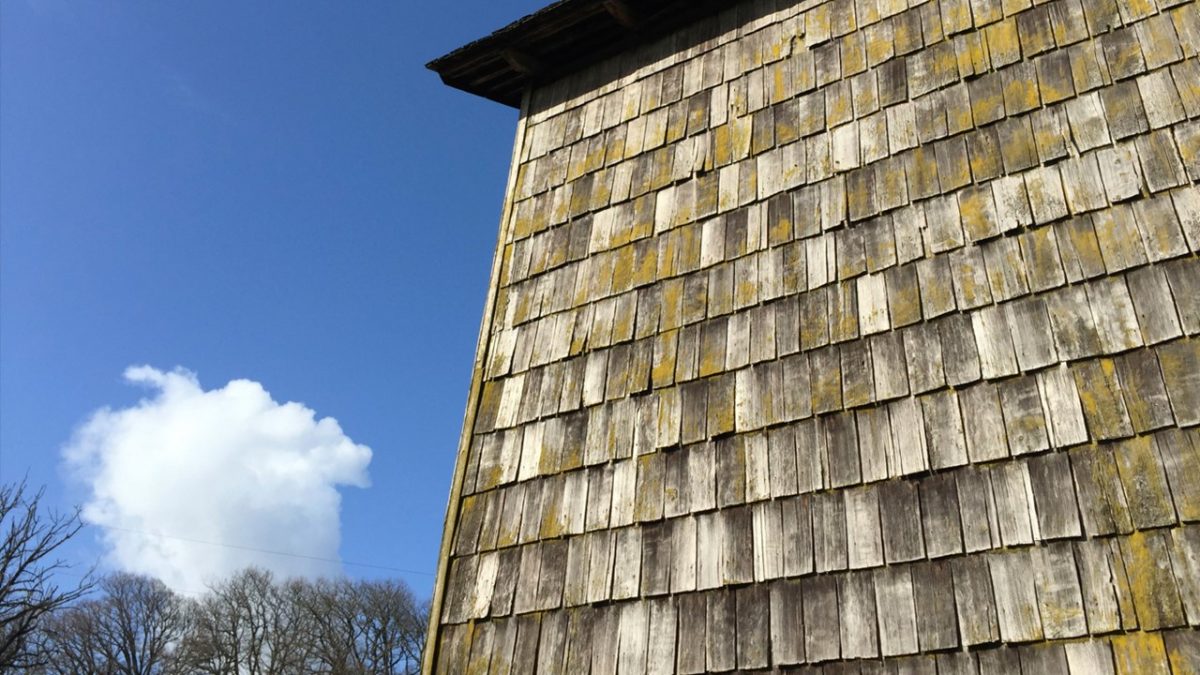 Presentan Guía de Arquitectura Tradicional en Madera del lago Llanquihue