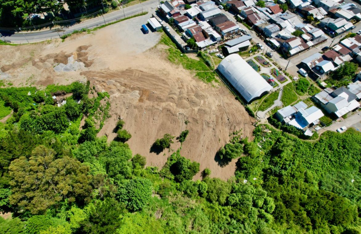 Municipio denuncia daño ambiental en humedal Quebrada Honda