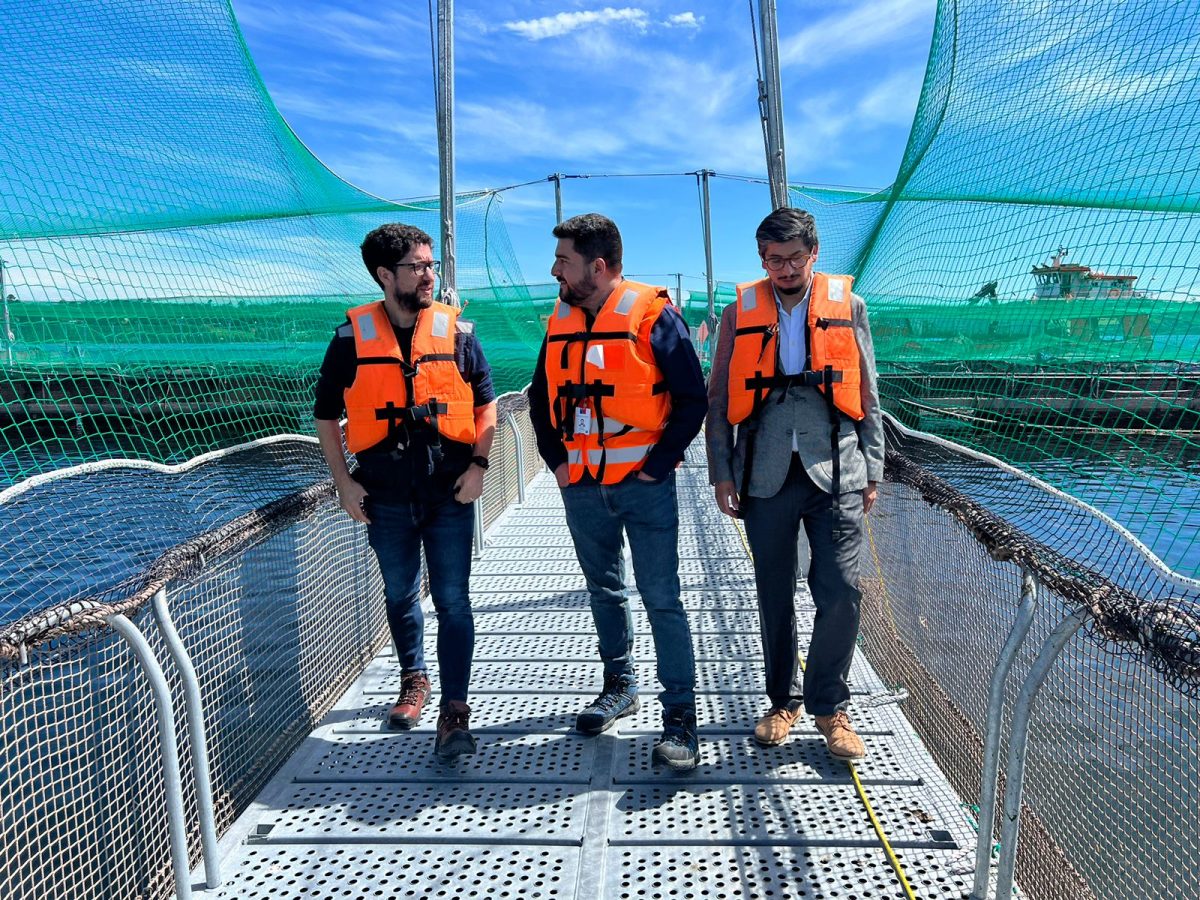 Fiscalizan centros de cultivo de salmones para mejorar seguridad de buzos
