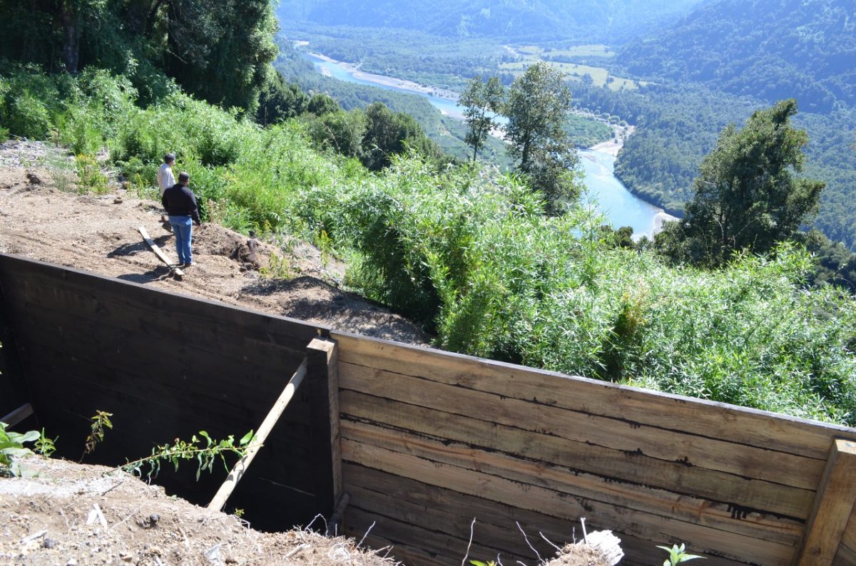 Respaldan a Tribunal Ambiental por paralización de proyecto inmobiliario