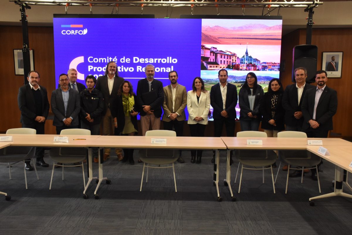 Los Lagos tiene nuevo Comité de Desarrollo Productivo