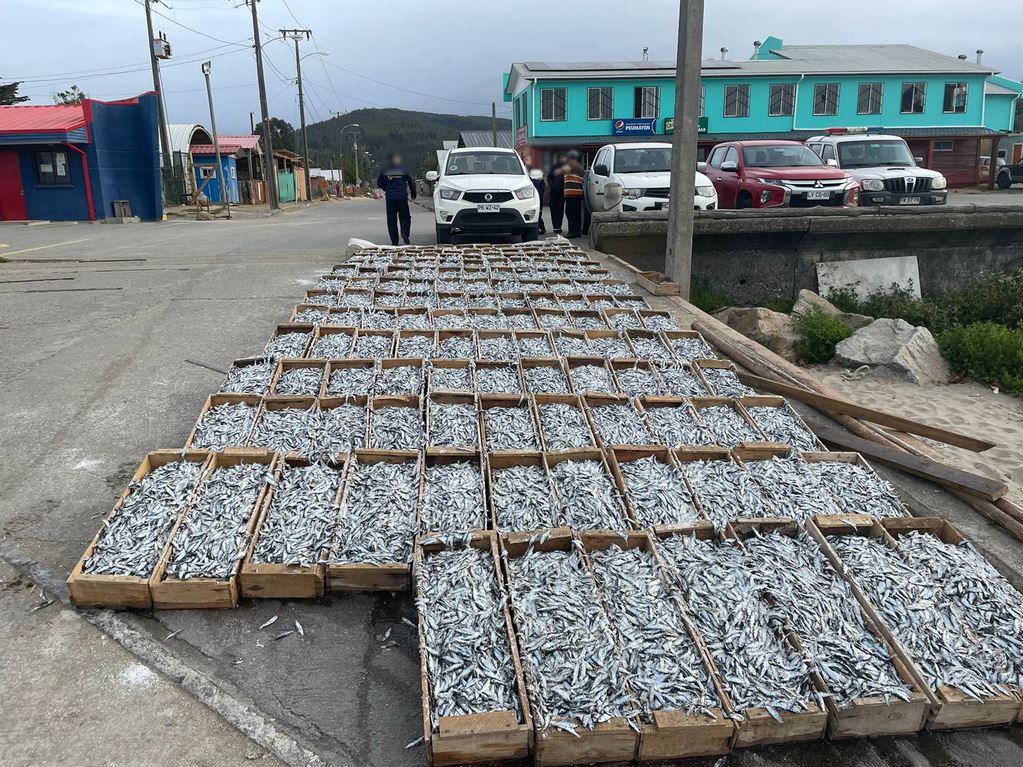 Sernapesca anuncia acciones legales por agresiones en Arauco