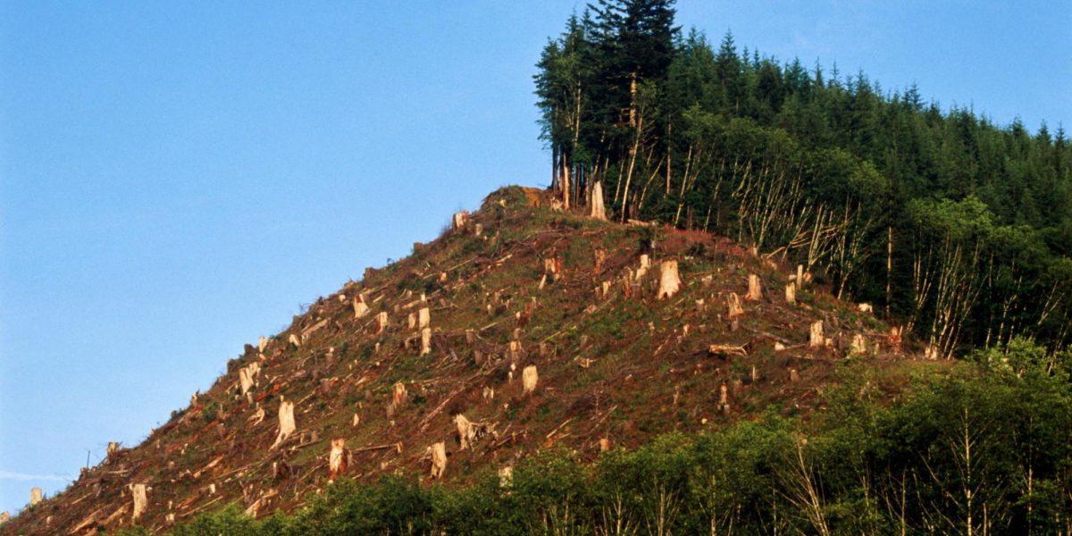 Opinión: Generemos vitalidad comunitaria para frenar sobregiro ecológico