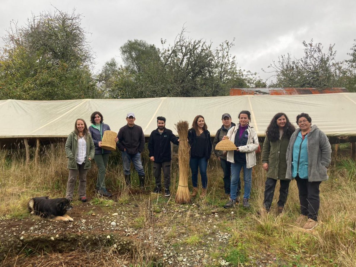 Ilque Huelmo y Carretera Austral son nombradas ciudades artesanales