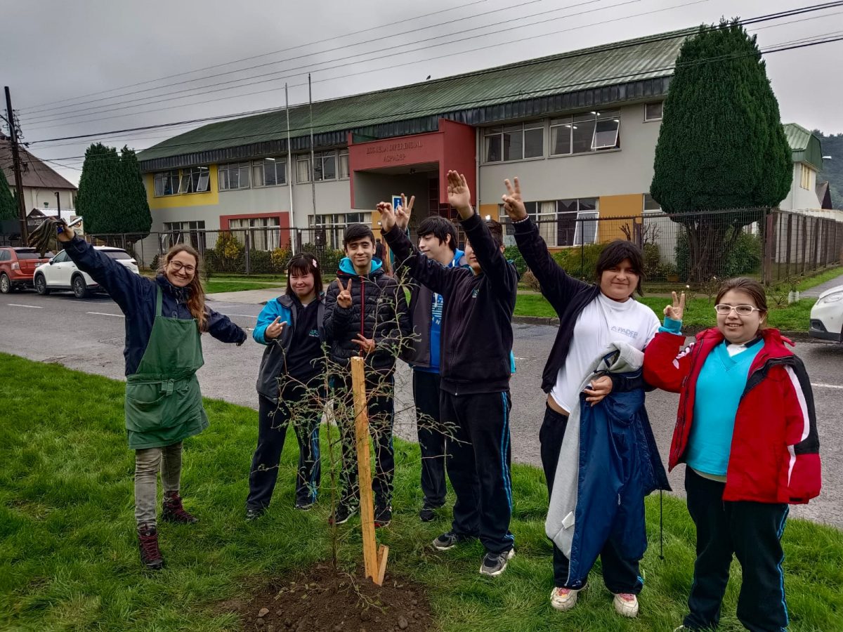 Municipalidad inicia plantación de árboles y rosas