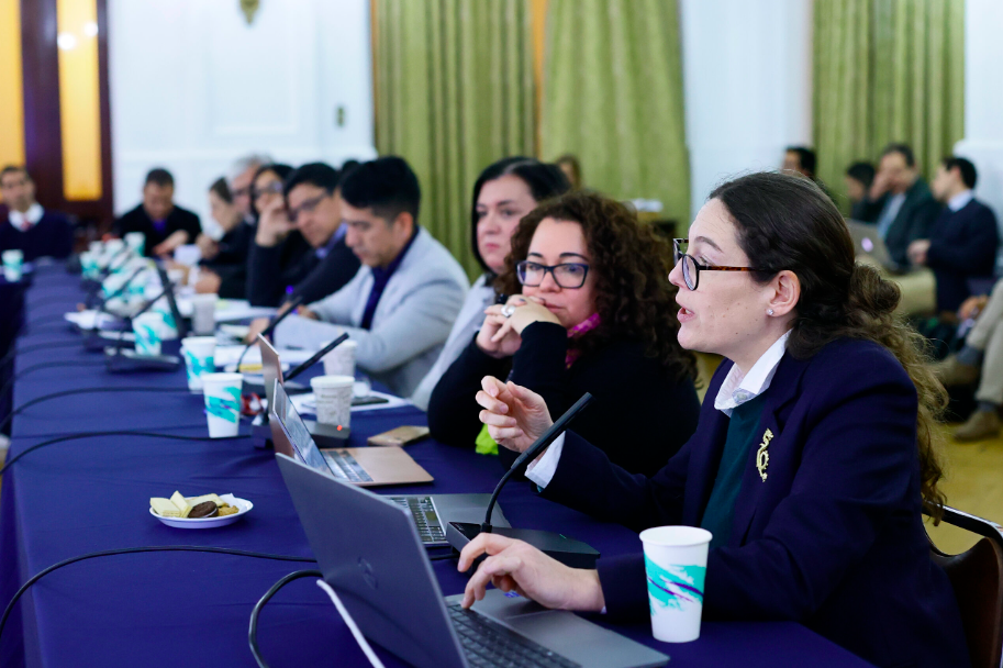 Consejo Constitucional debate paridad de género