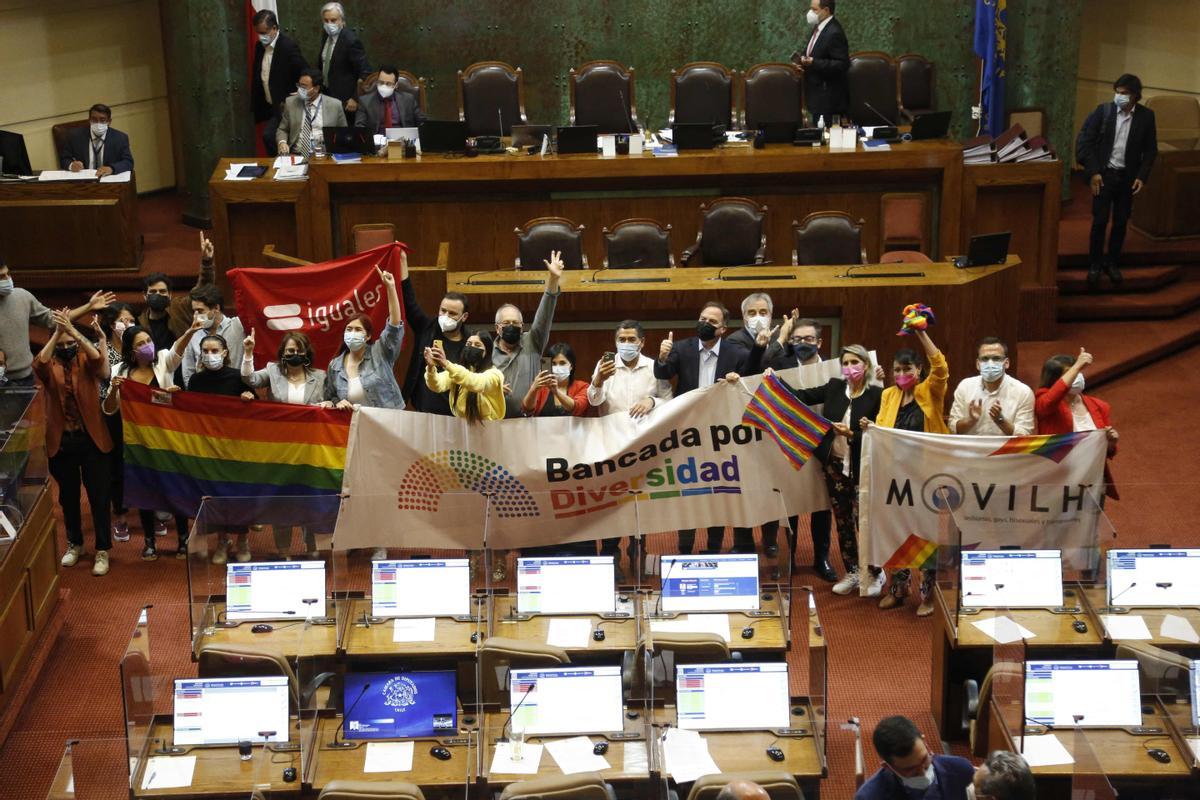Movilh en el congreso