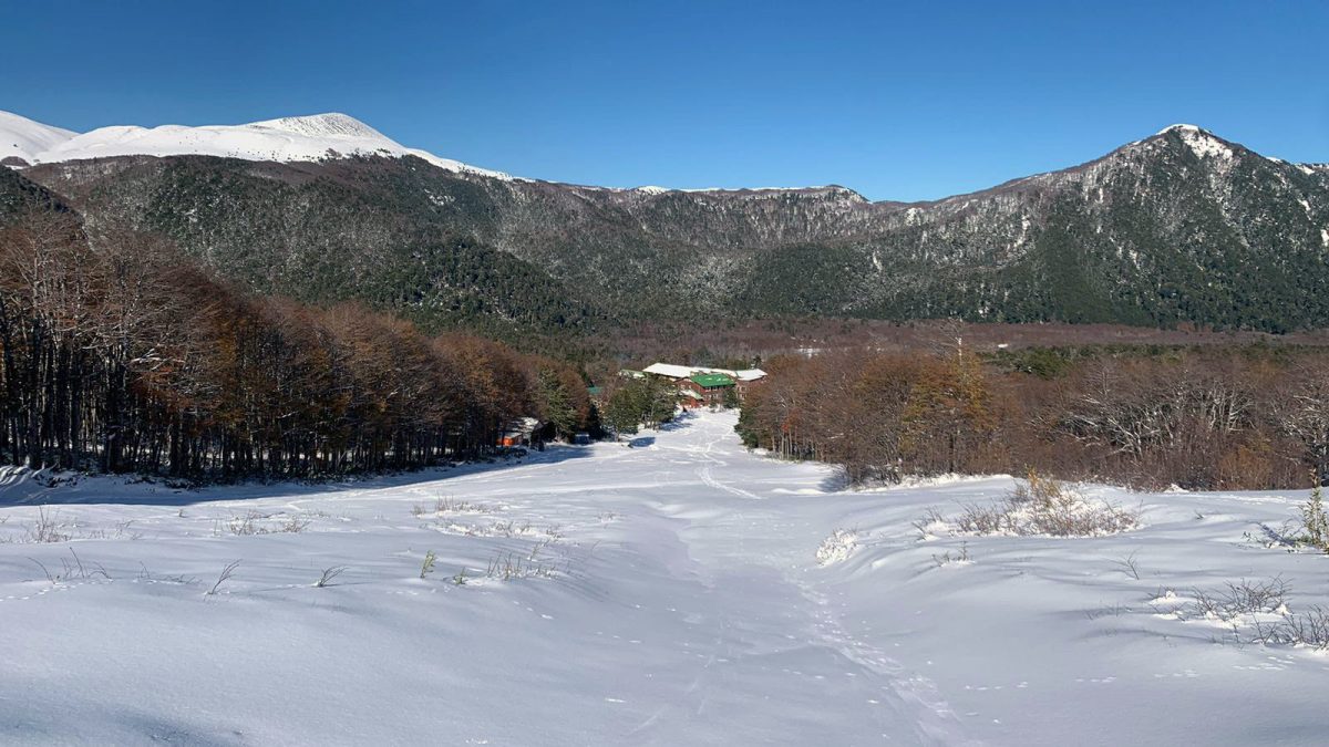 Región