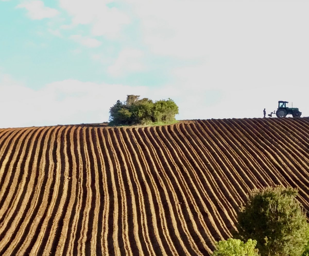 Reciclaje en el agro: avances concretos y desafíos reales