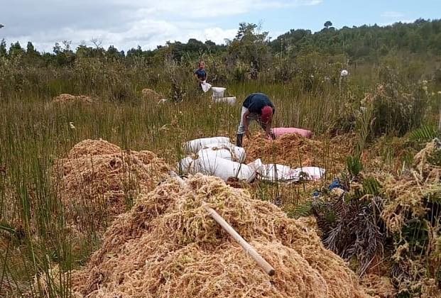 Agrupaciones ambientales de Chiloé rechazan la Ley de Turberas