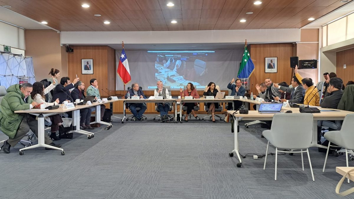 El Consejo Regional de Los Lagos ha dado su aprobación unánime al pronunciamiento presentado por el Gobierno Regional