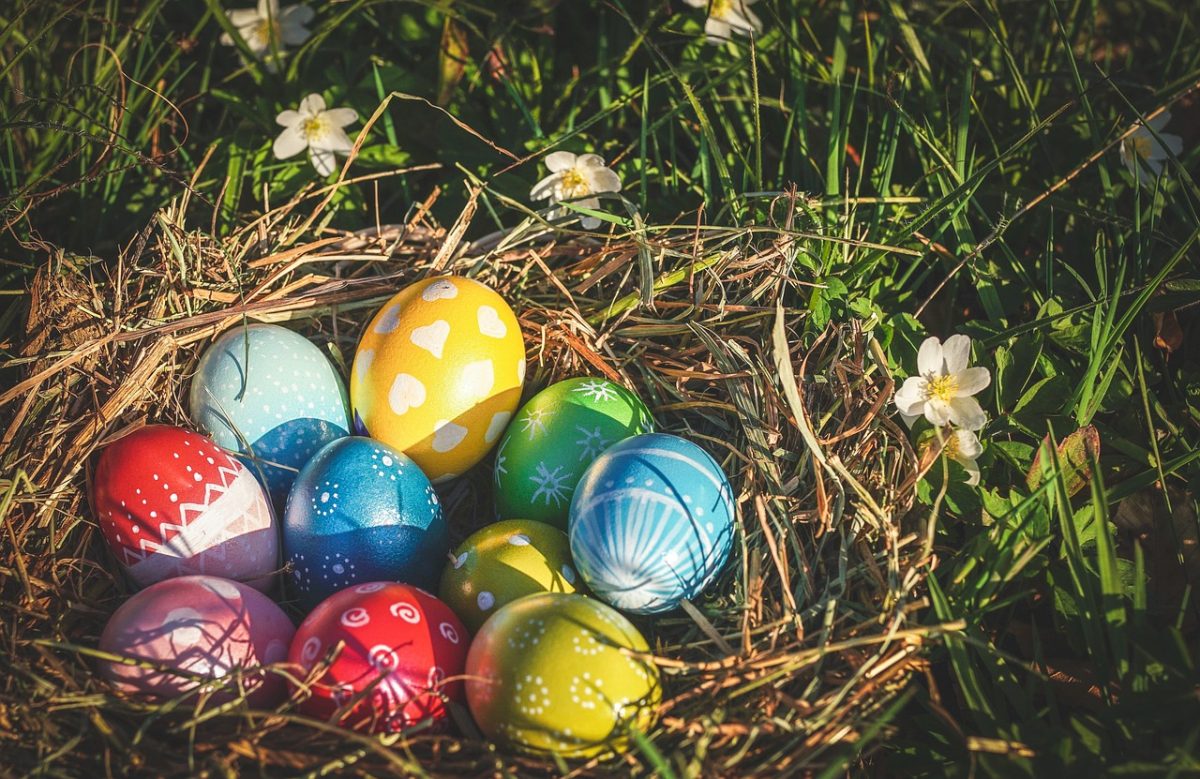 ¿Por qué el conejo de pascua y los huevitos en Semana Santa? Esta es la razón