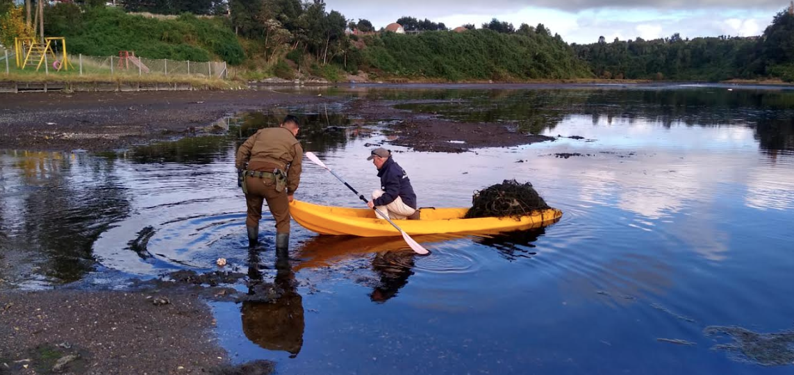 Red de pesca ilegal retirada en humedal urbano de Chiloé