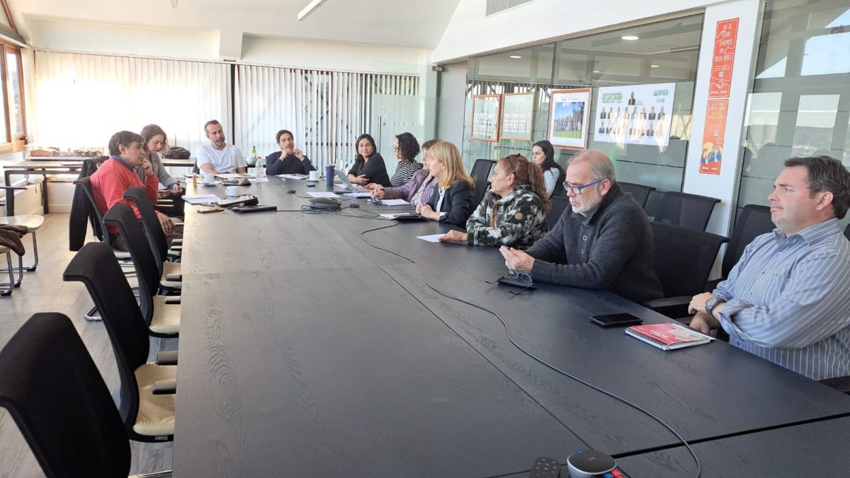 Calle Varas, Licitación, Infraestructura, Transparencia, Comunicación, Municipio