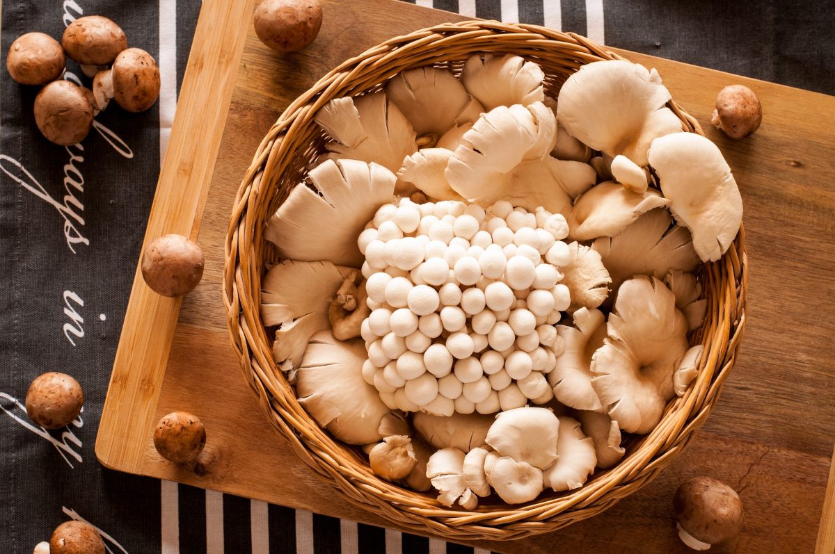 El boom de los hongos: una tendencia nutricional consciente y sostenible