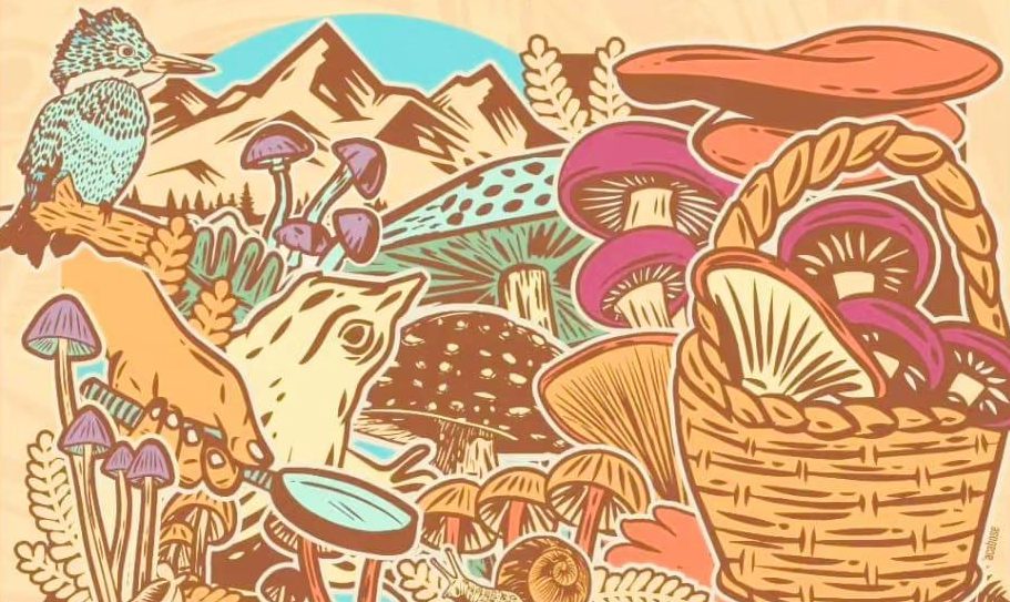 Explorando el Mundo de los Hongos: Festival Valle Fungi en Correntoso