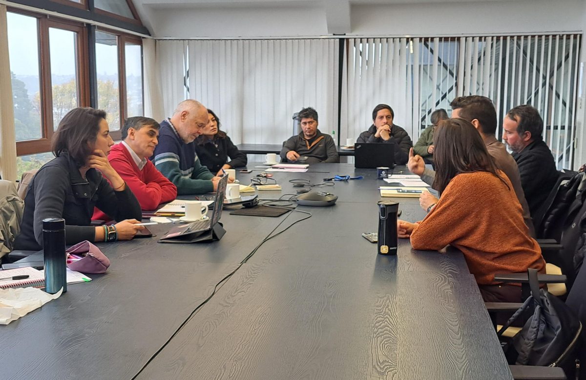 Necesidad de diagnóstico adecuado de cuidadores de niños neurodivergentes