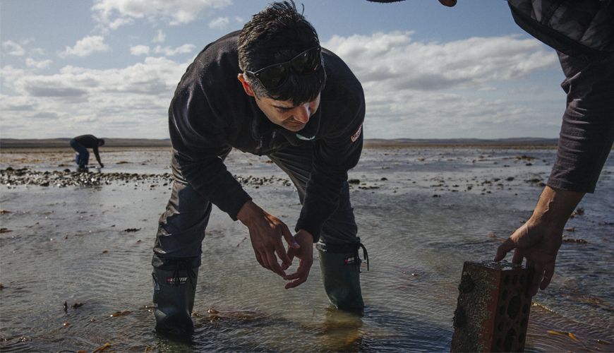 Biólogo Mauricio Palacios alerta sobre la urgente necesidad de proteger los bosques de algas de la Patagonia