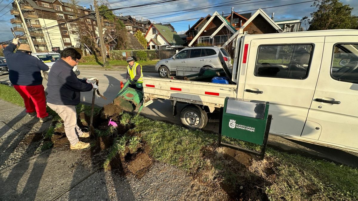 Puerto Varas inicia la reposición de basureros para una ciudad más limpia