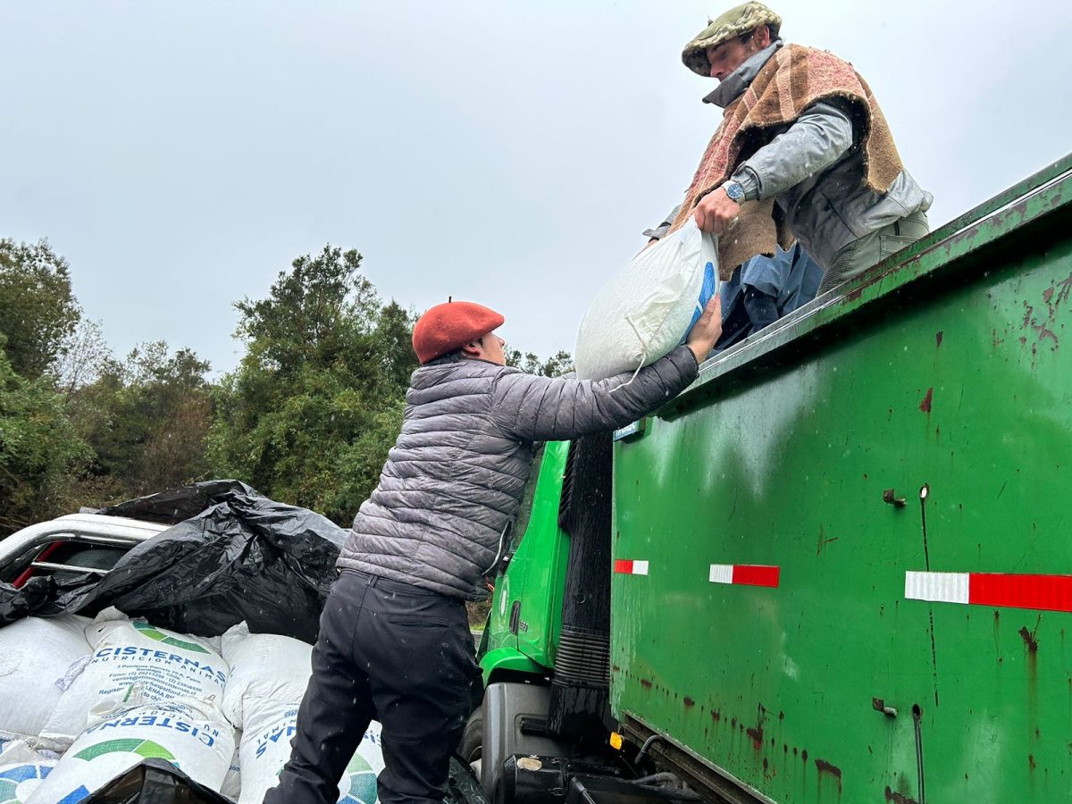 entregó cerca de dos mil kilos de concentrado para equinos en Ralún El Este