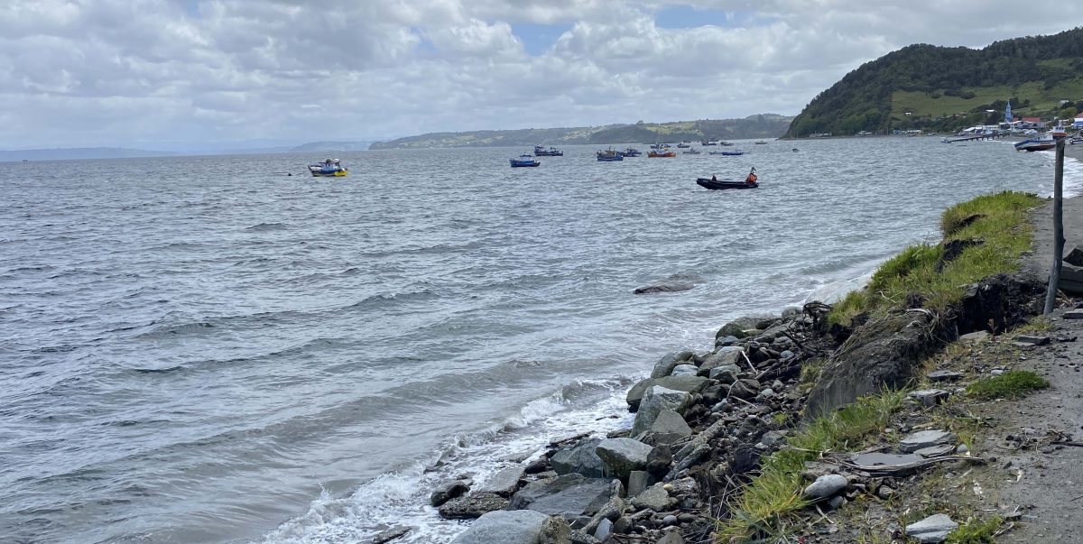 Dalcahue alerta sobre riesgo ecológico por proyecto de planta Ecocal